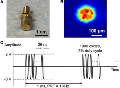 Functional Assay of Cancer Cell Invasion Potential Based on Mechanotransduction of Focused Ultrasound